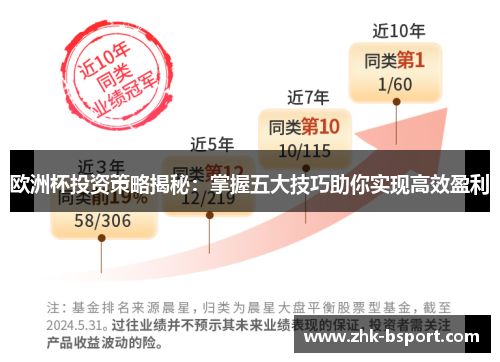 欧洲杯投资策略揭秘:掌握五大技巧助你实现高效盈利 欧洲杯投资策略揭秘:掌握五大技巧助你实现高效盈利