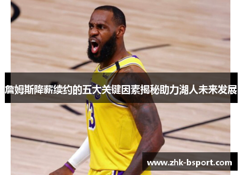 詹姆斯降薪续约的五大关键因素揭秘助力湖人未来发展 詹姆斯降薪续约的五大关键因素揭秘助力湖人未来发展