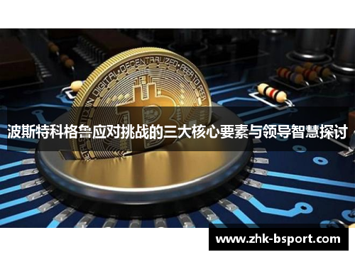 波斯特科格鲁应对挑战的三大核心要素与领导智慧探讨